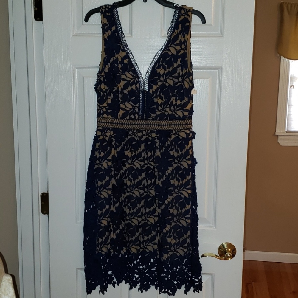 Colsten navy guipure lace dress size 6 NWT
